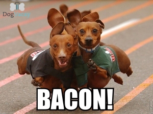 Bacon-Meme-2